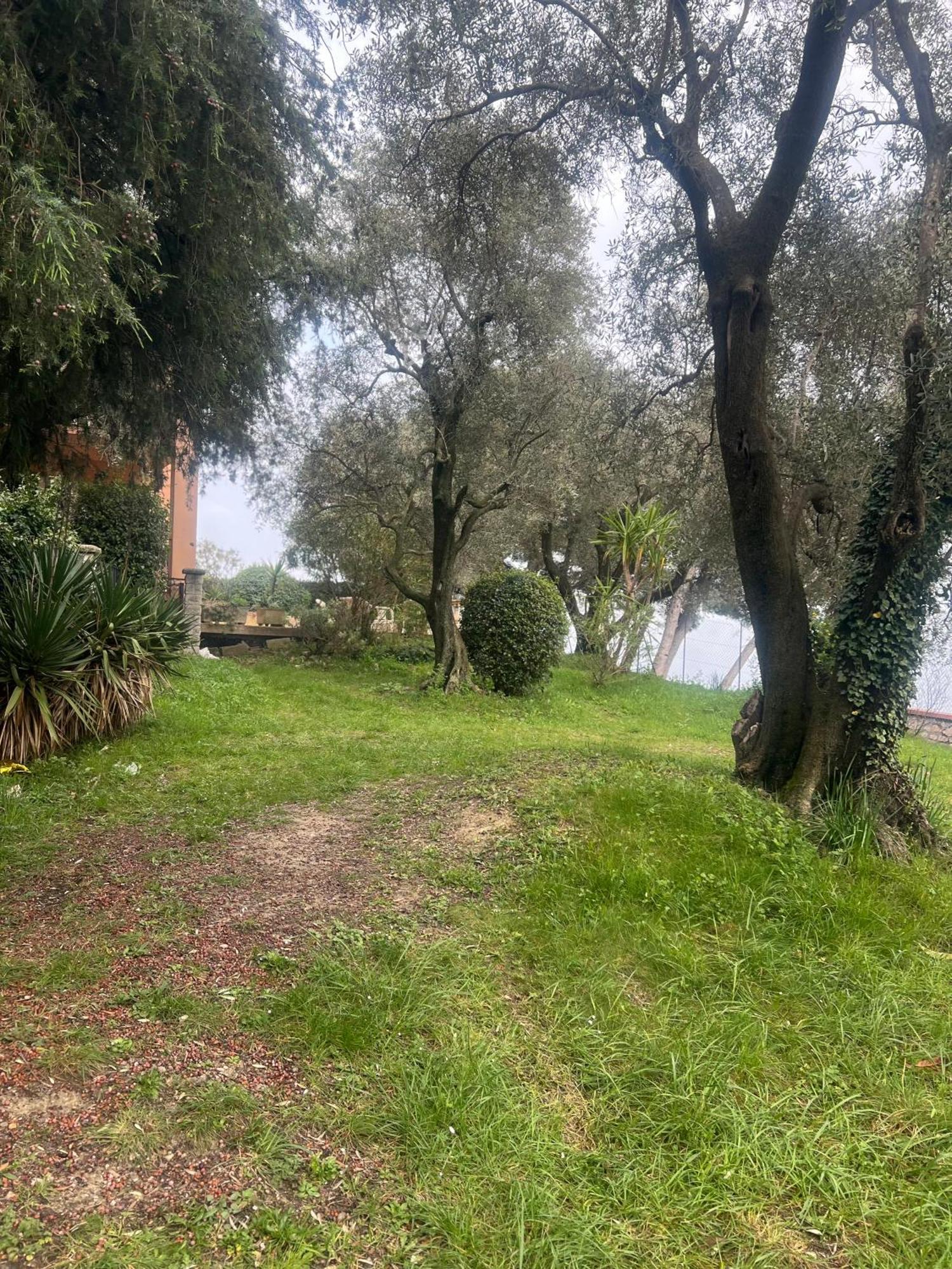 Bas De Vue Village Eze